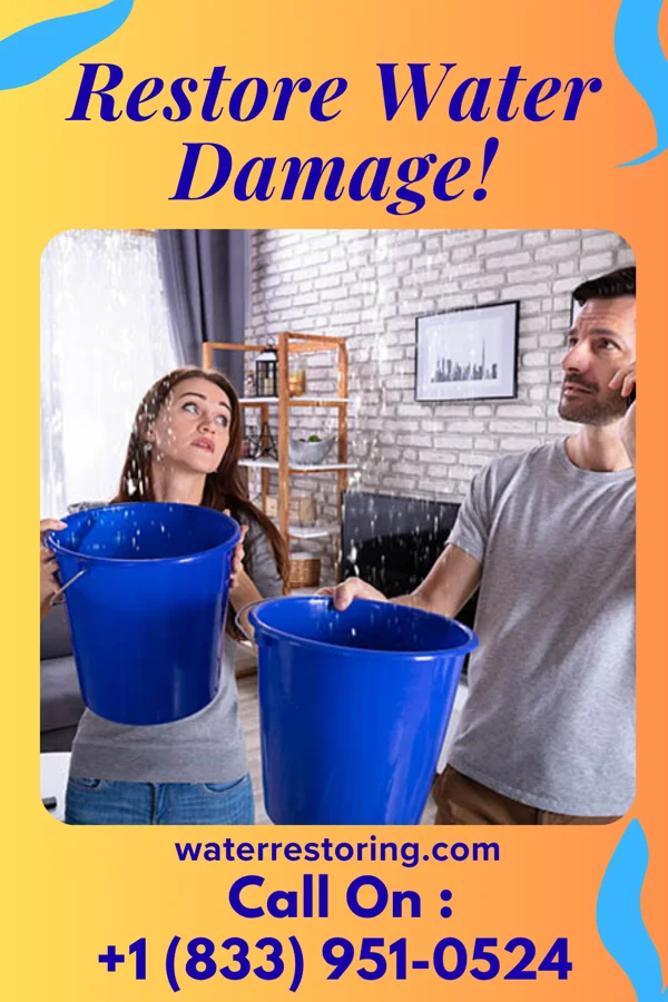 water restoration Prestige Water Repair & Associates Albemarle