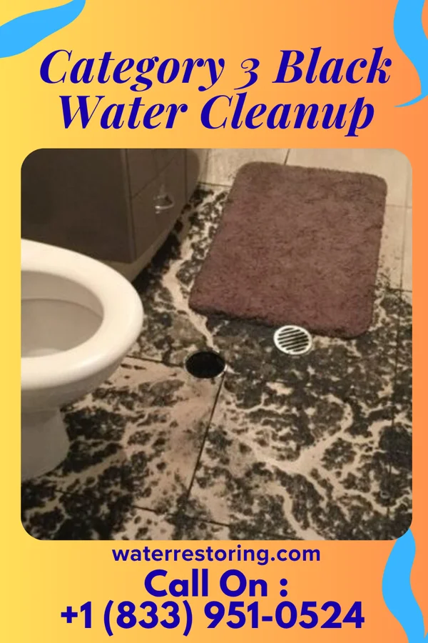 Category 3 Black Water Cleanup in Albemarle, NC