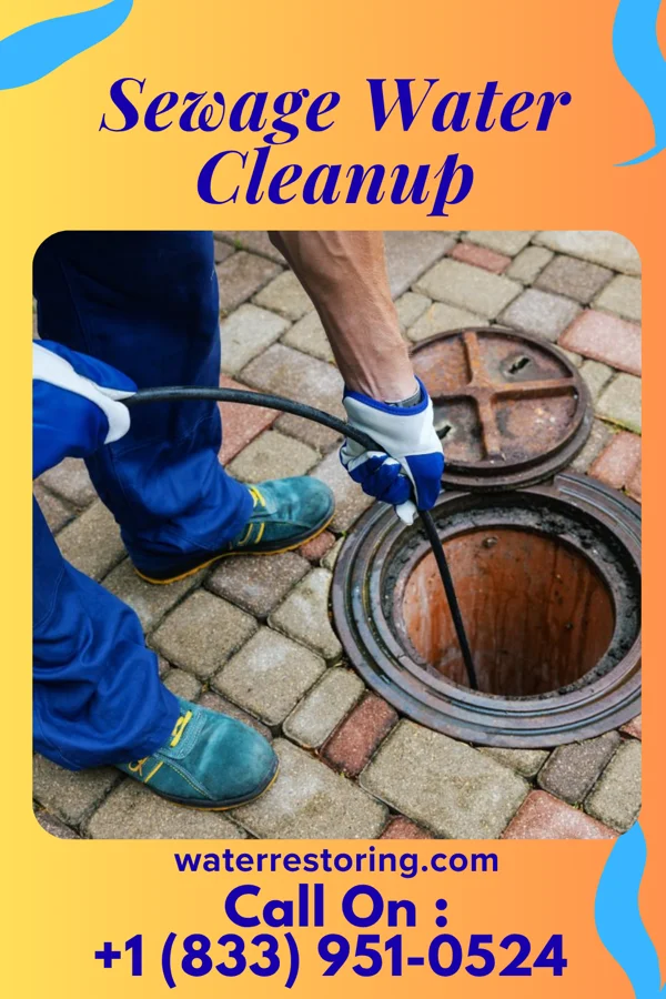 Sewage Water Cleanup in Albemarle, NC