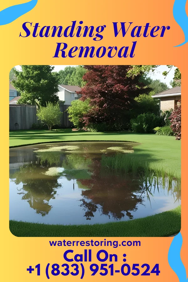 Standing Water Removal in Albemarle, NC